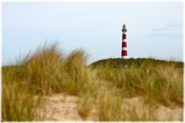 Zomerzangavond Ameland