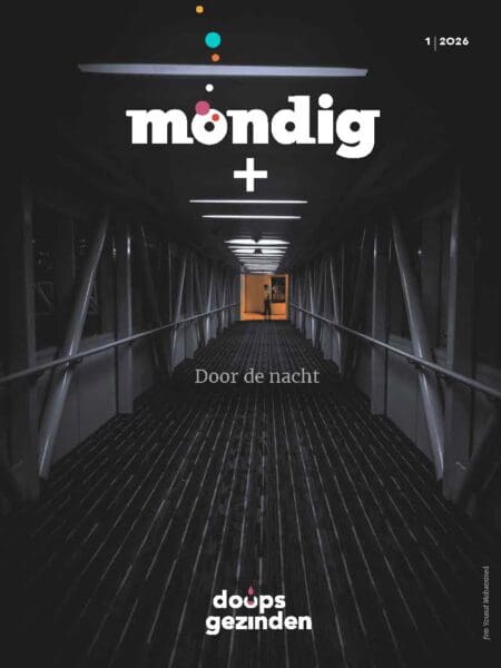 Door de nacht