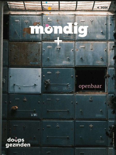 Openbaar