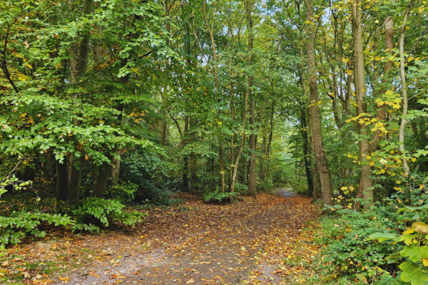Aalsmeer: KliederZin Herfstfeest voor jong en oud